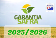 Prazo para pagamento do boleto do segura safra 2025/2026 encerra nessa sexta-feira 27/02